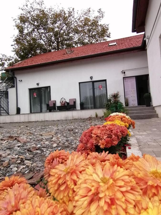 Vila Ana Hotel Cluj-Napoca Exterior photo